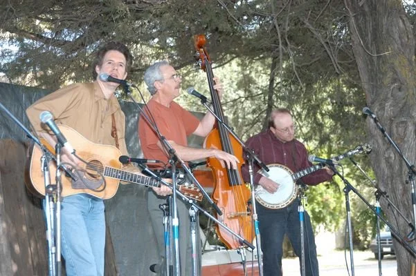 Three men playing acoustic guitar, upright bass, and banjo during the Parkfield Bluegrass Festival