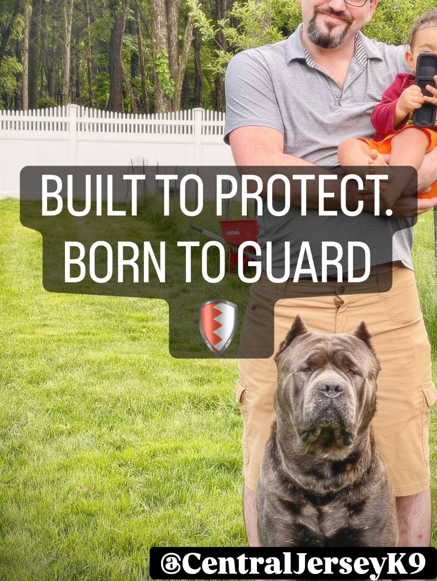 Built to protect. Born to guard. 🐾 Every move, every moment&mdash;Corso is on duty. Accepting Applications @gooddog #FamilyFirst #CaneCorsoLove #GuardianMode #CentralJerseyK9 #LuxuryK9Lifestyle #ItalianCaneCorso #CorsoCulture #CorsiWithClass #Protec