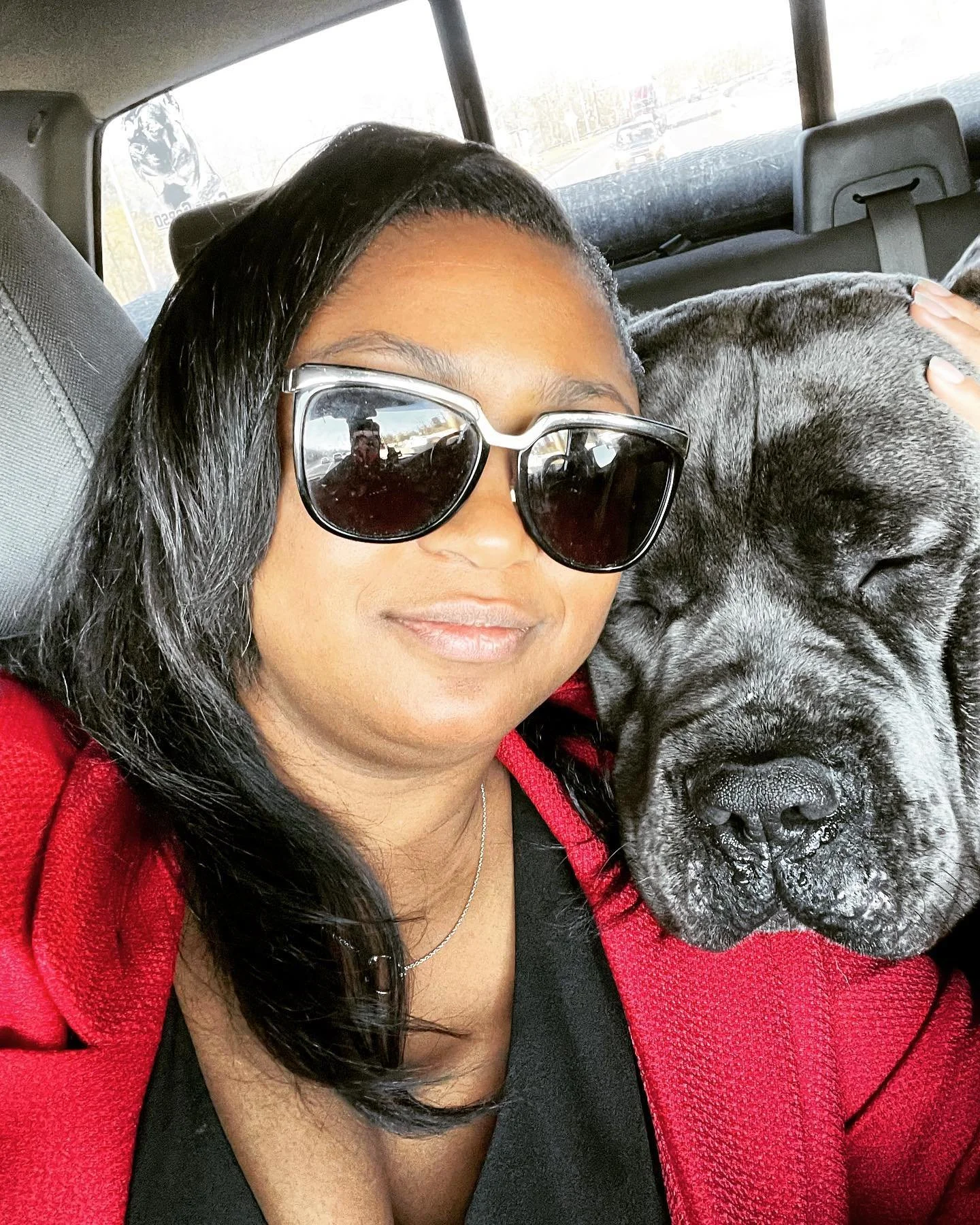 Day ONE- 2023 Cane Corso Regionals

Off to an excellent start towards our GRAND Championship title!! 🤩🤩🤩🤩🤩🤩🤩

Thank you Judge Ralph (Sonny) Ambrosio for awarding Sangue Vecchio&rsquo;s Argo Delmare BEST OF OPPOSITE &amp; BEST OF BREED OWNER HA