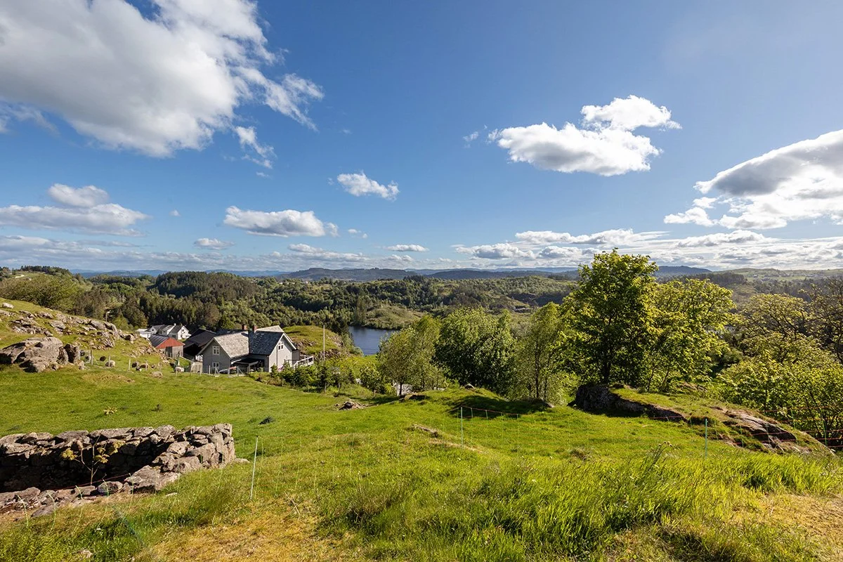 View from outside of the house