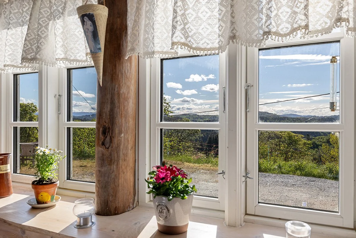 View from the living room 