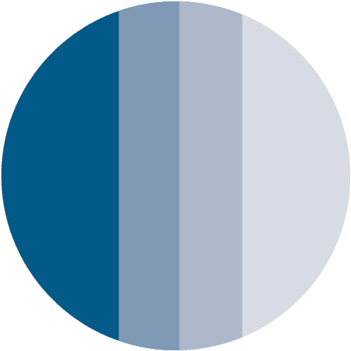 A pie chart with varying shades of blue, divided into four unequal segments.