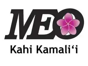 A logo for Kahi Kamali, featuring the text 'Kahi Kamali' and a stylized pink flower with five petals.