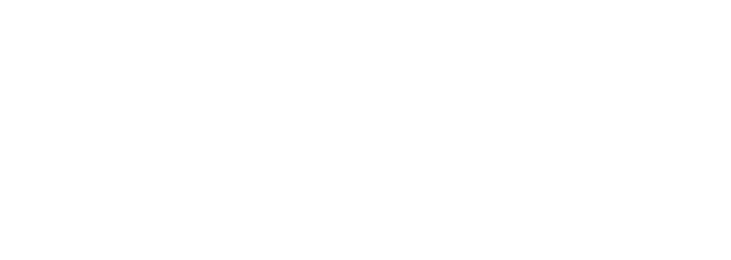 Michael Carsten for D11