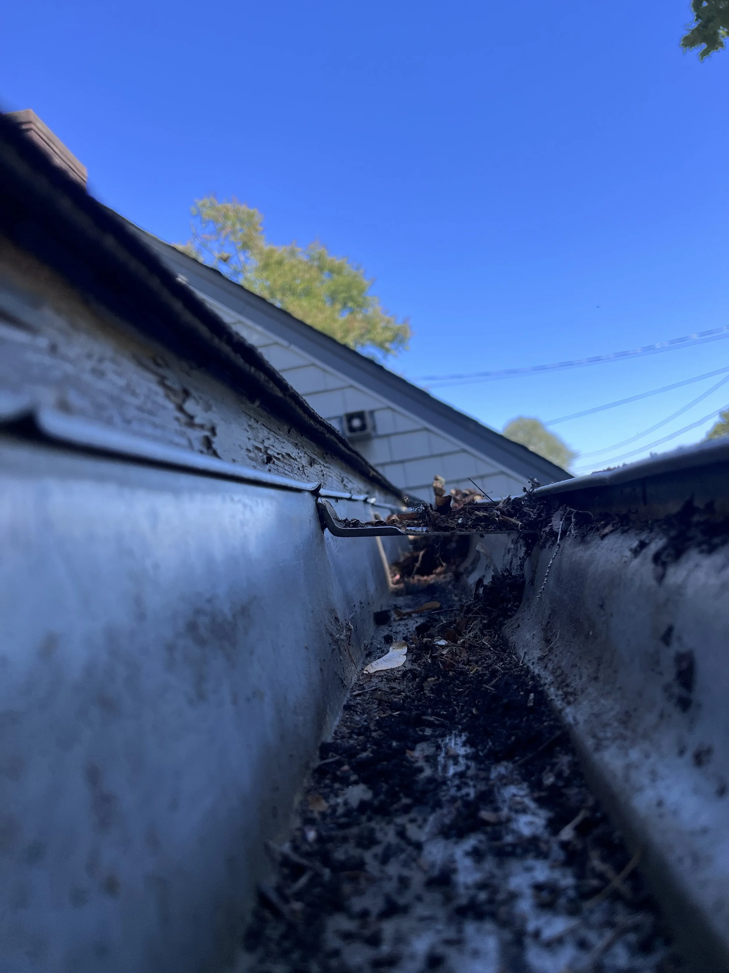 Close-up of a clogged gutter filled with dirt, leaves, and debris, with a house and clear blue sky in the background.