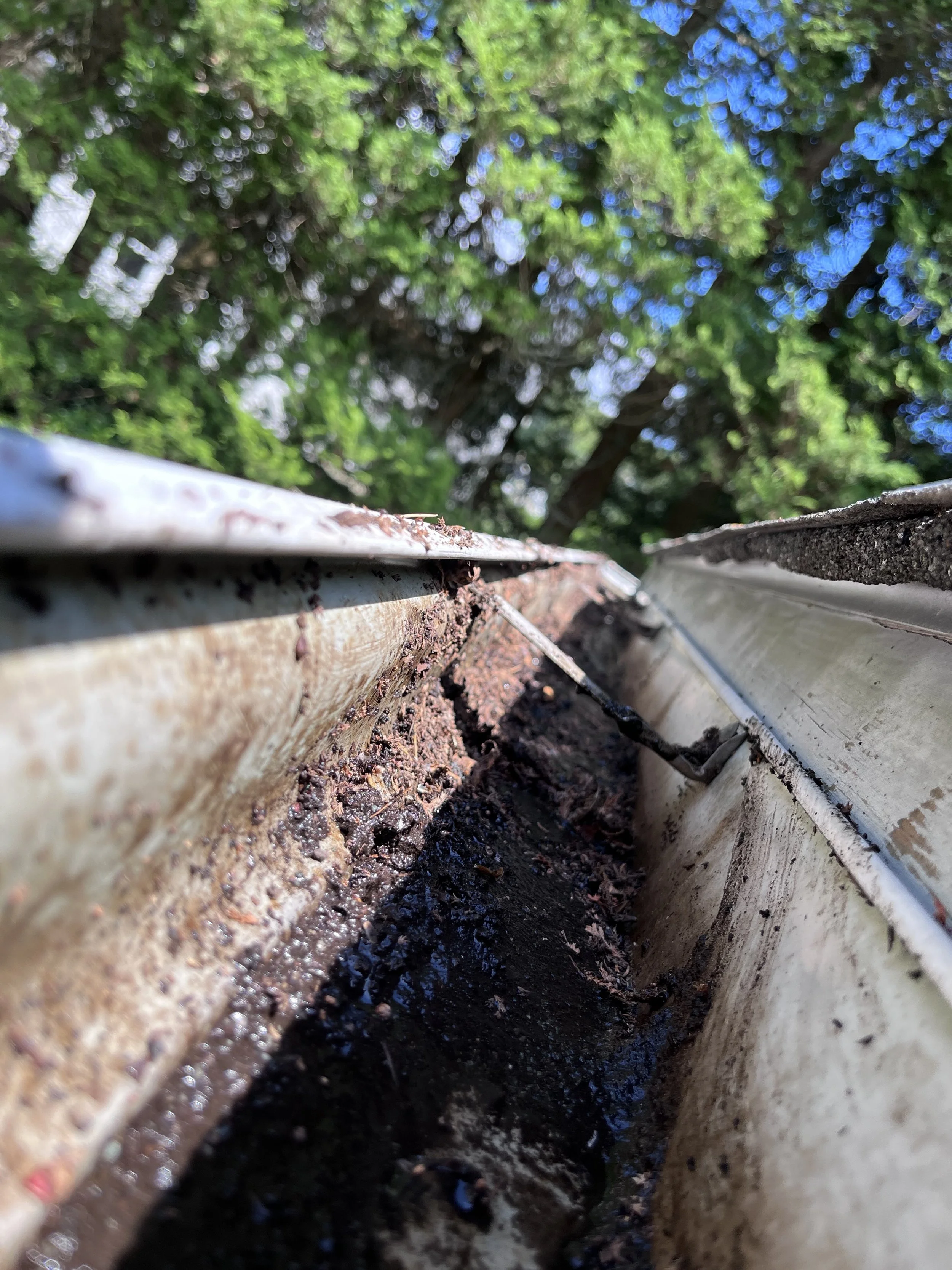 Close-up of a dirty gutter with soil and debris, with a background of green trees and blue sky.