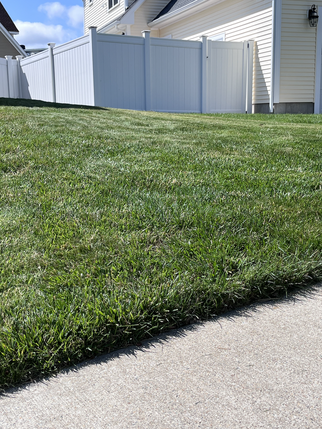 A vibrant freshly-cut lawn next to a sidewalk with a white vinyl fence and a house exterior.