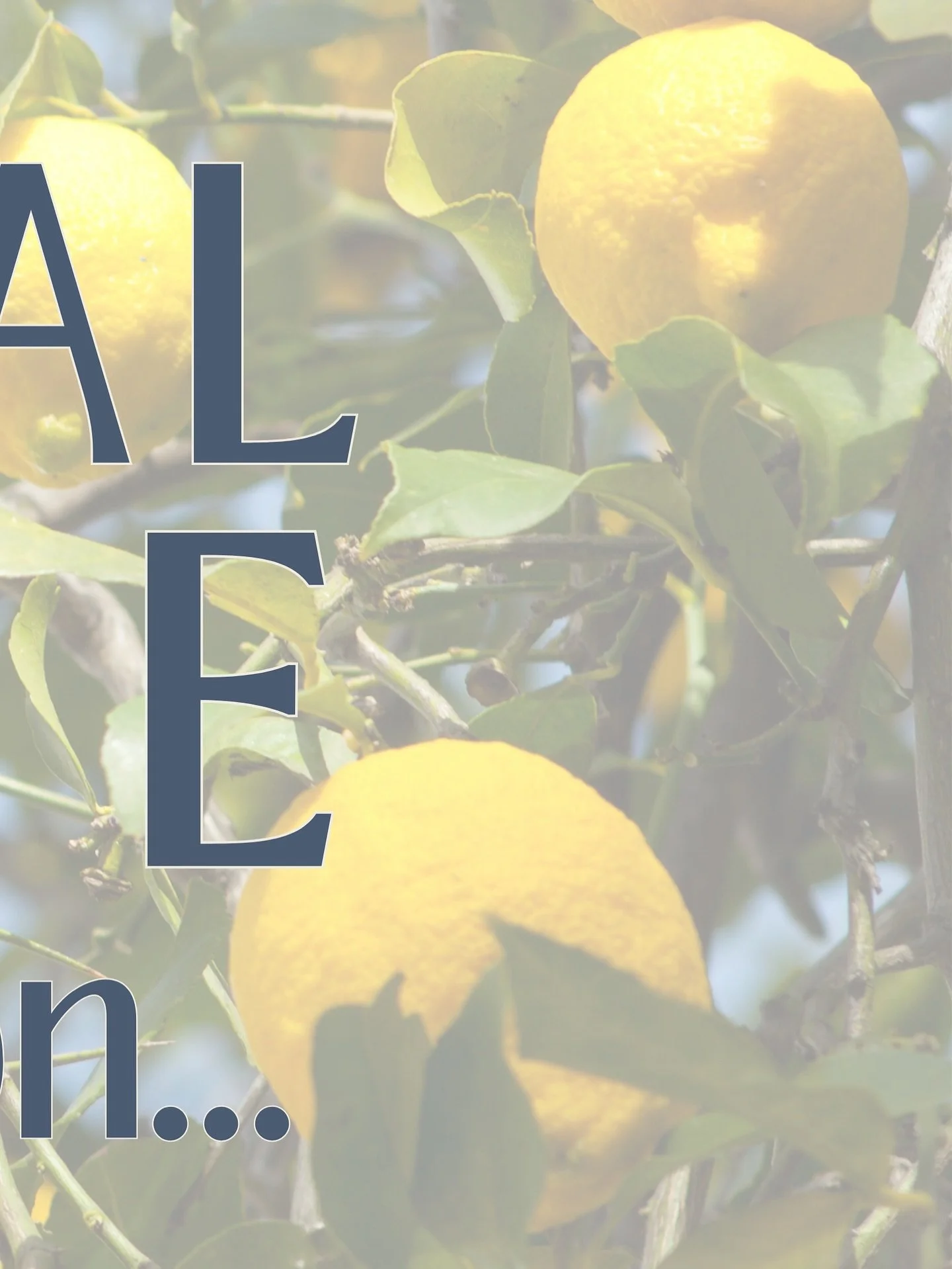 Coastal House is COMING 🍋🌿

A modern Mediterranean-coastal inspired destination built for women, families, and community.

Home of @themomcollectiveofficial a social, coworking, &amp; wellness community for women &amp; moms. Offering onsite childca