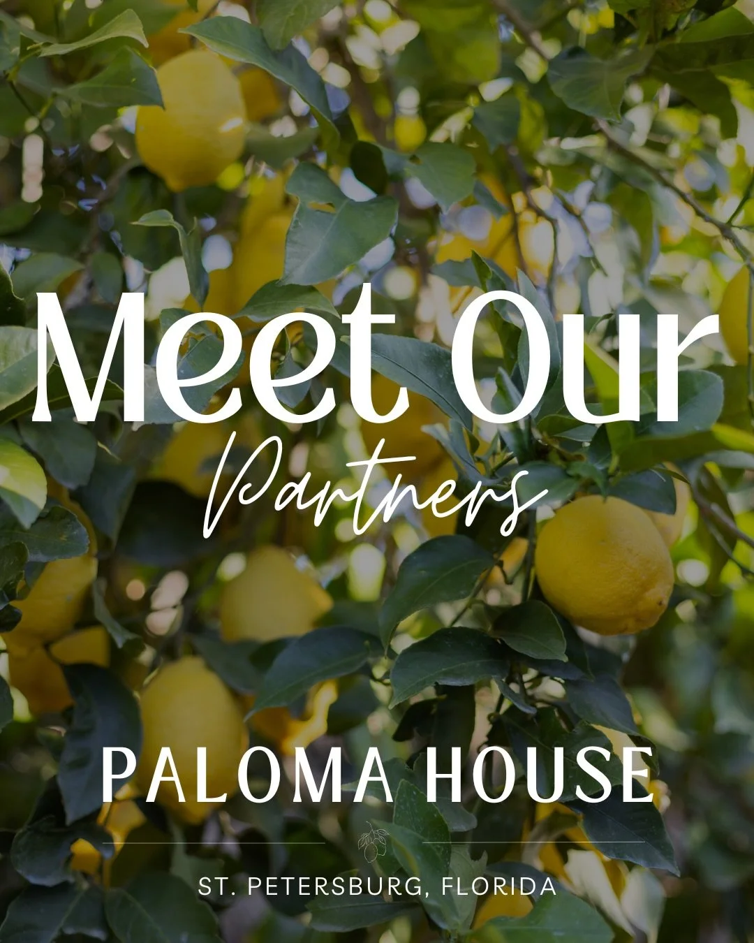 Meet our partners, who we are so proud to have supporting and representing Paloma House. These incredible women and mom owned businesses, provide so much value to families in the Tampa Bay Area, and we couldn&rsquo;t be more grateful to have them a p