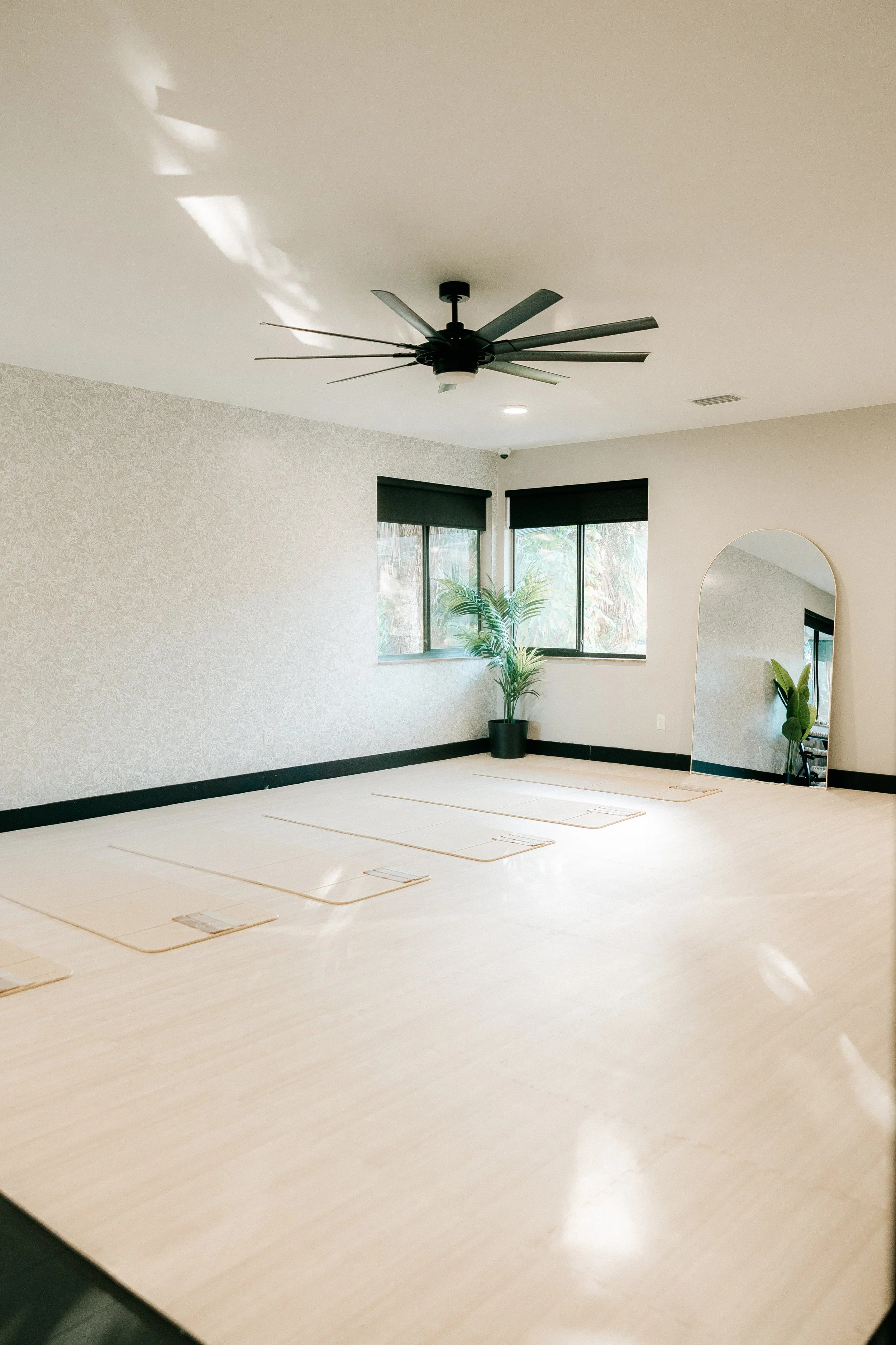 Modern living room with two large windows, a tall green plant in a black pot, a reflective mirror, and a black ceiling fan with multiple blades. The room has light-colored walls and flooring.