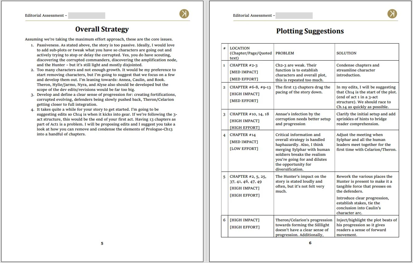 Two pages of the Editorial Assessment report; with the headers Plotting Suggestions and Overall Strategy.
