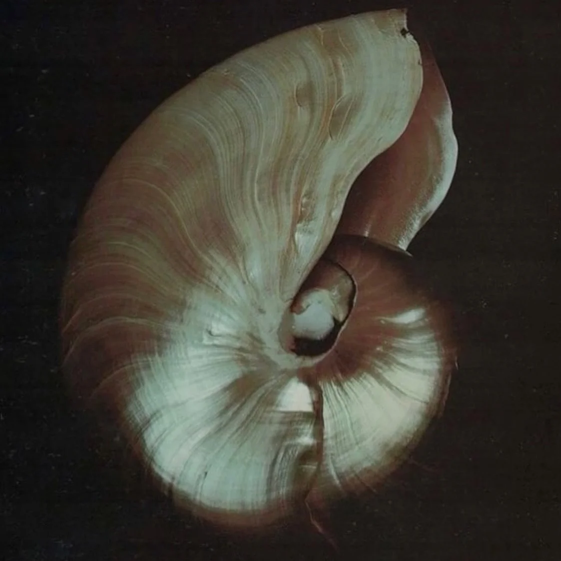 The Karmic Signature: Understanding Your Natal Axis as a Living Mandala