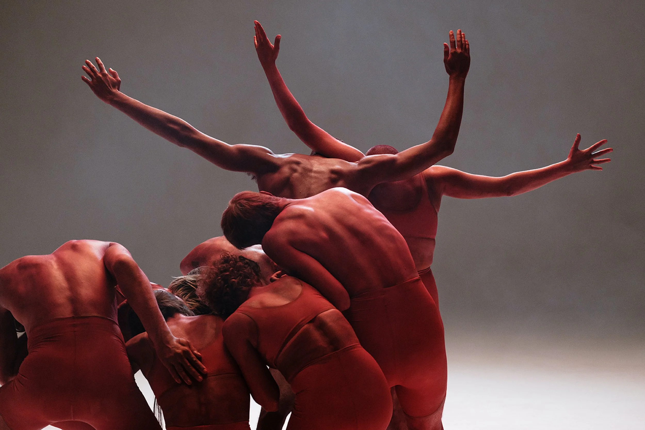 Groupe de danseurs masculins nus en mouvement dans une composition expressif sur scène, avec un fond gris neutre.
