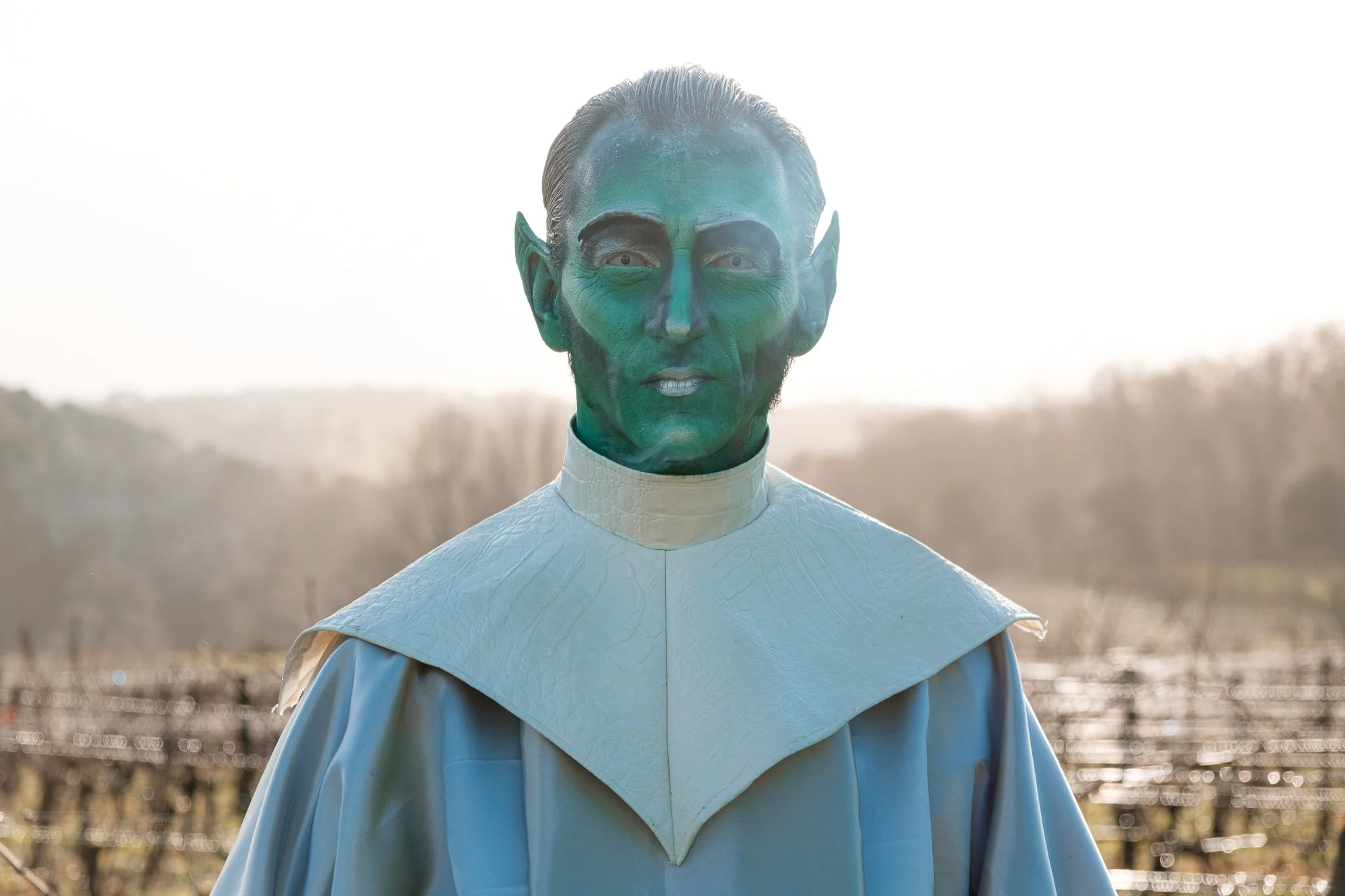 Une personne déguisée en personnage extraterrestre avec la peau verte, les oreilles pointues, portant un vêtement blanc dans un paysage rural.