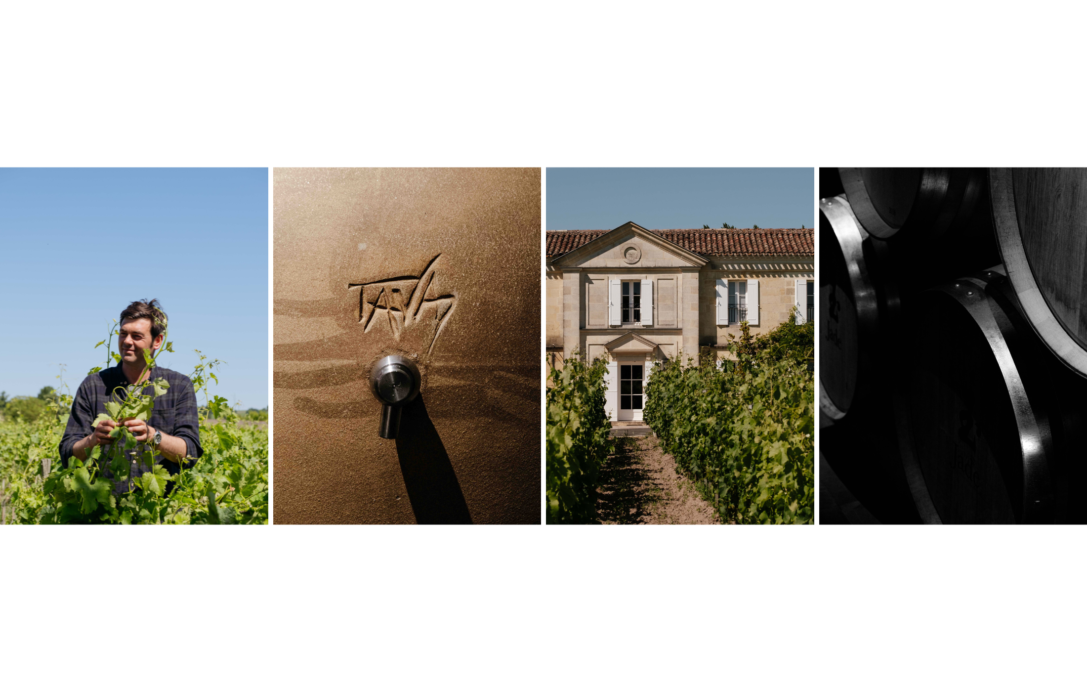 Reportage photo réalisé dans un domaine viticole : travail dans les vignes, détails techniques de la cuverie, architecture du chai et ambiance des barriques.