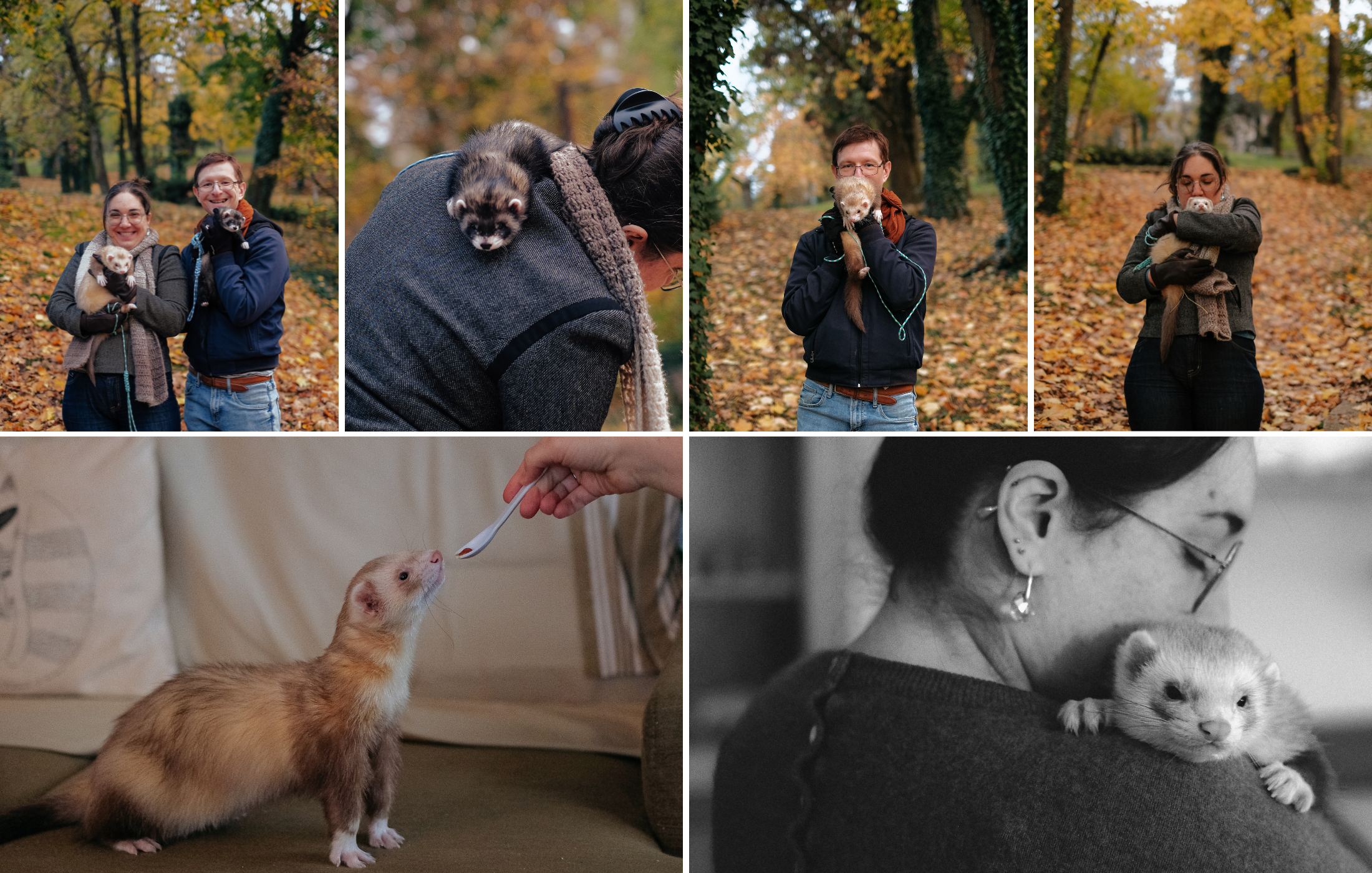 Reportage photo réalisé à Lyon pour des particuliers : moments de complicité avec leurs furets, scènes en extérieur et instants du quotidien en intérieur.