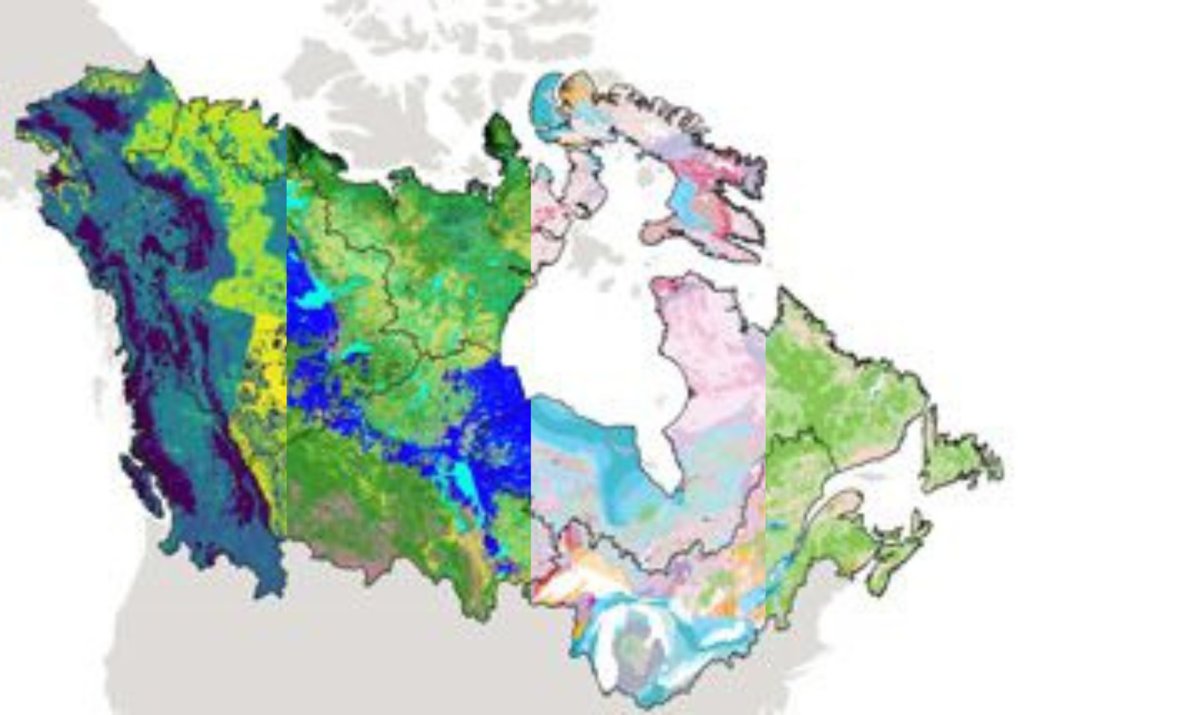 Colorful map of Canada with various regions highlighted in different shades of green, blue, pink, and yellow, overlapping a faint outline of the country's borders.