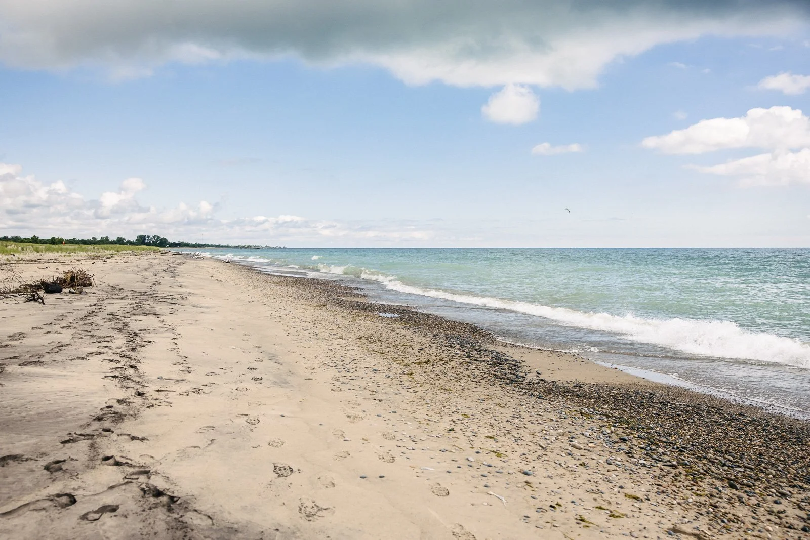 Public Beach Cleanup at Illinois Beach State Park
