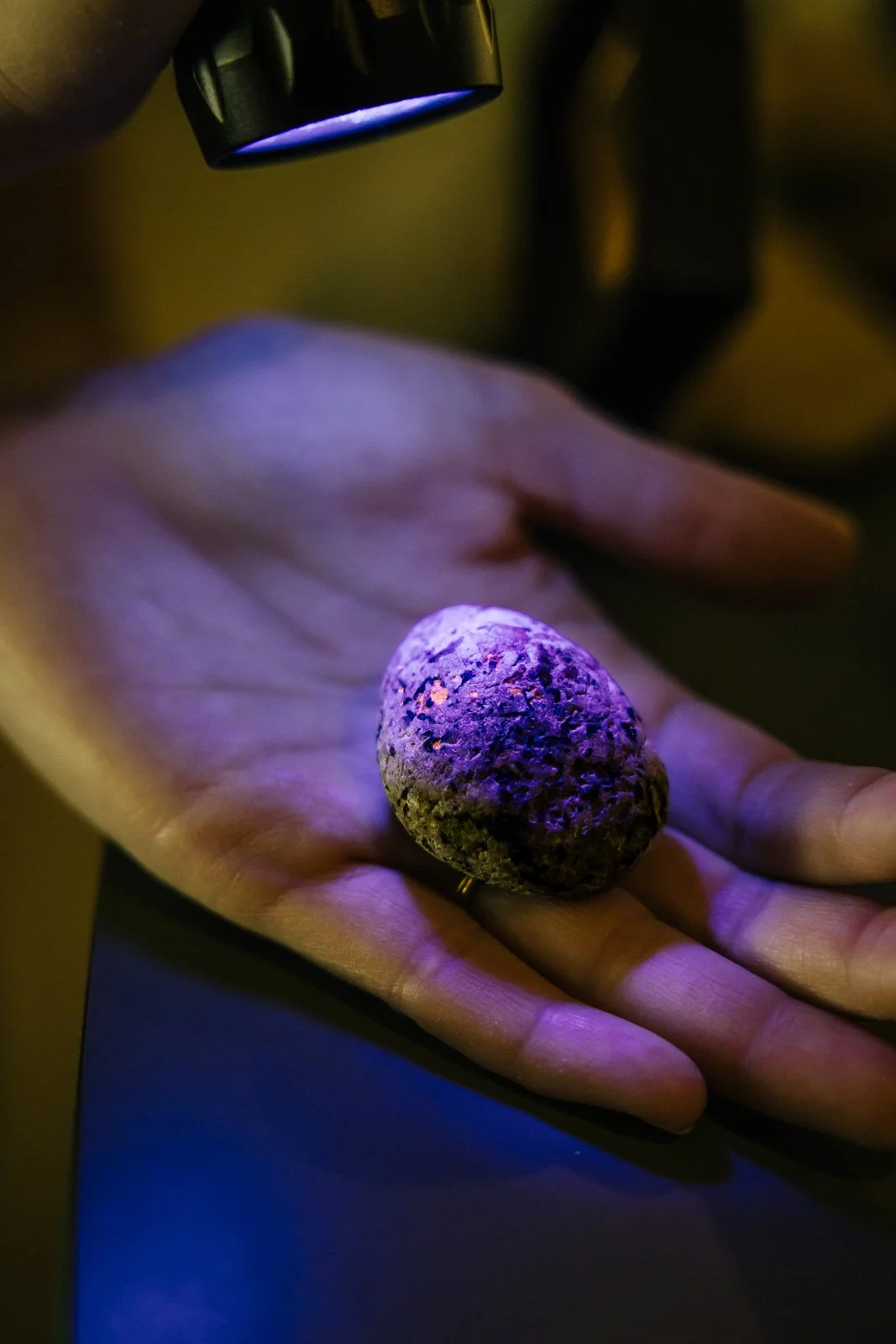 Nighttime "Yopperlite" Hunt at Illinois Beach State Park