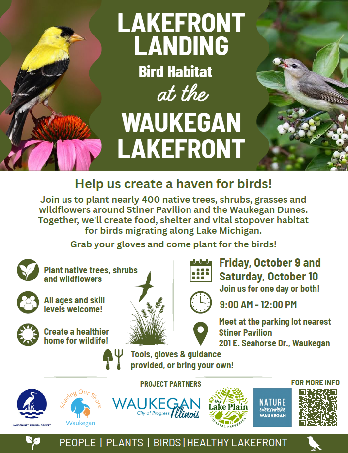 Restoration Workday at Waukegan Dunes