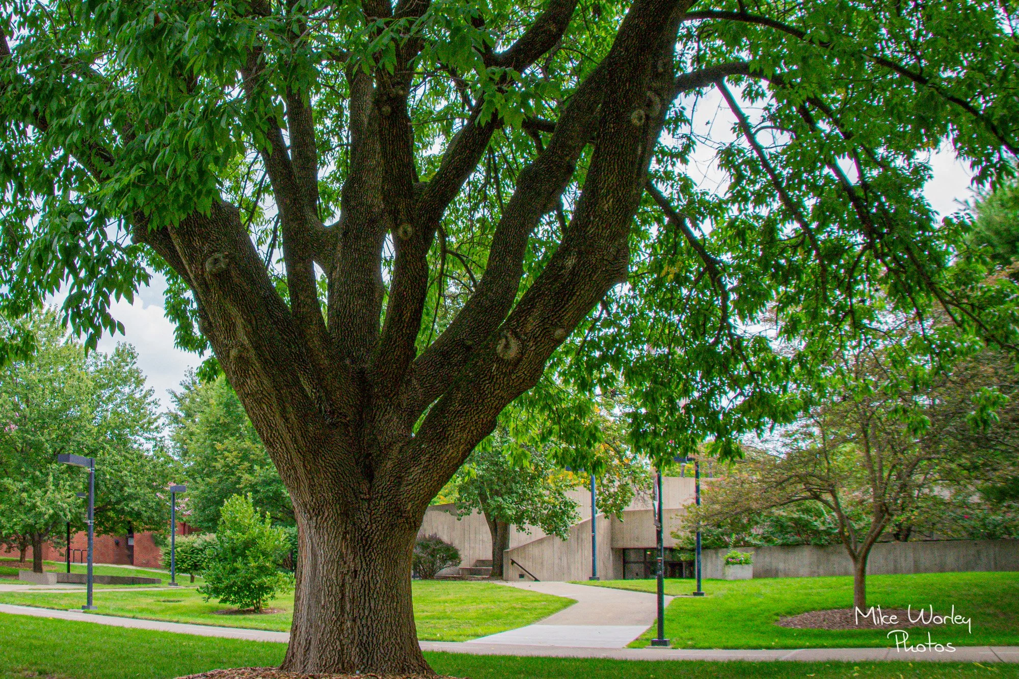 MWP Download -6654.jpg