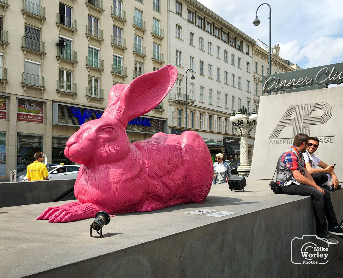Vienna's Pink Rabbit statue. Originally planned for a short display, it has become a fixture in downtown Vienna