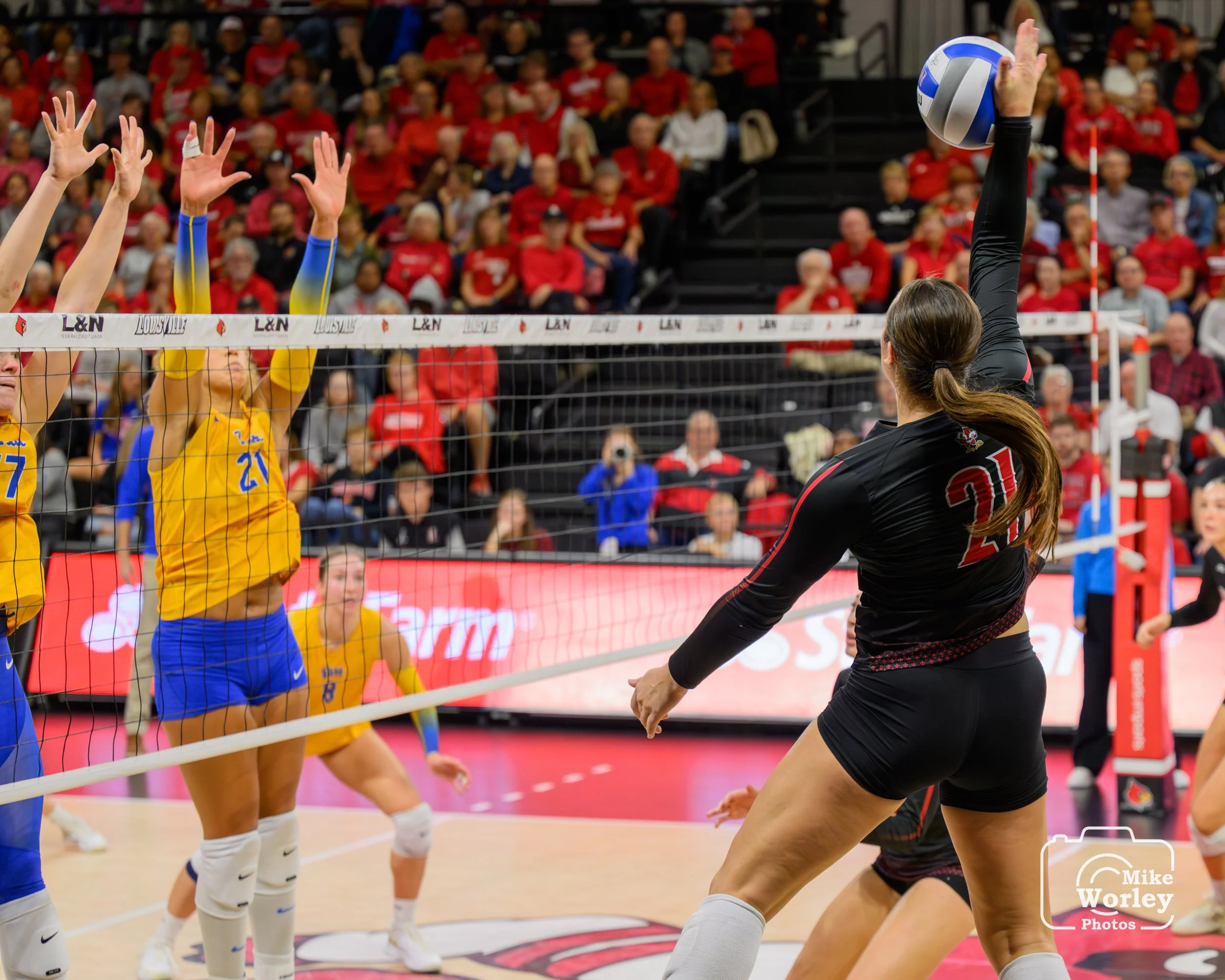 Payton Petersen attacks