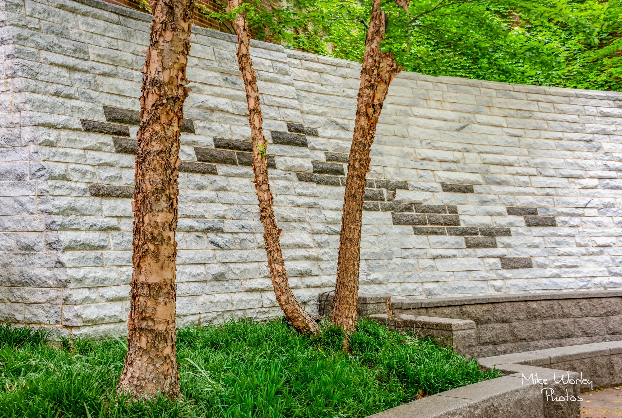 MWP Download -0109.jpg