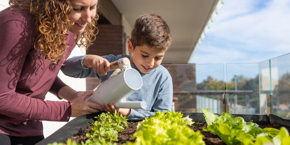 Container Gardening Mistakes That Reduce Nutrient Density