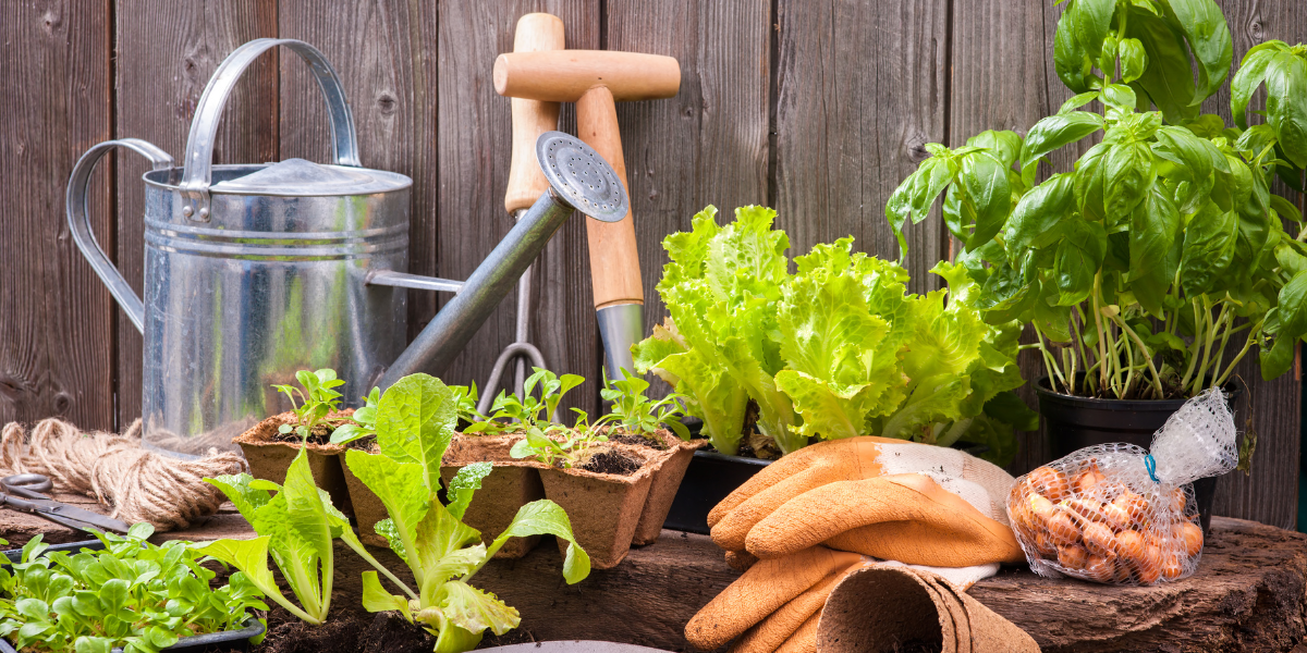 Grow Your Own Food in Canada: The Nutritional Gardens Philosophy