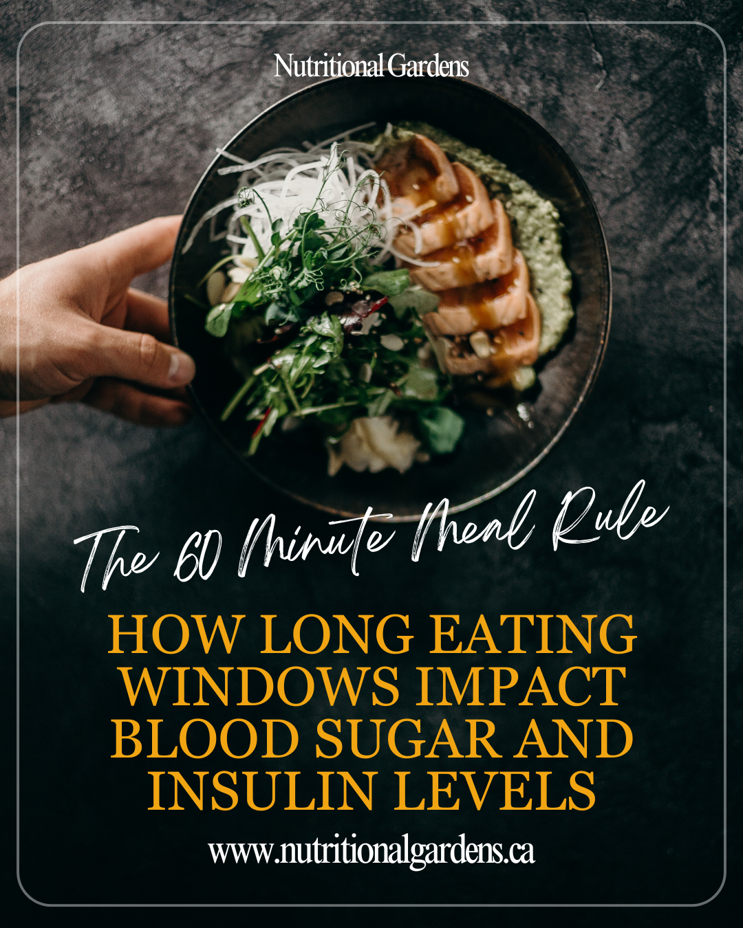 The 60 Minute Meal Rule: How Long Eating Windows Impact Blood Sugar and Insulin Levels