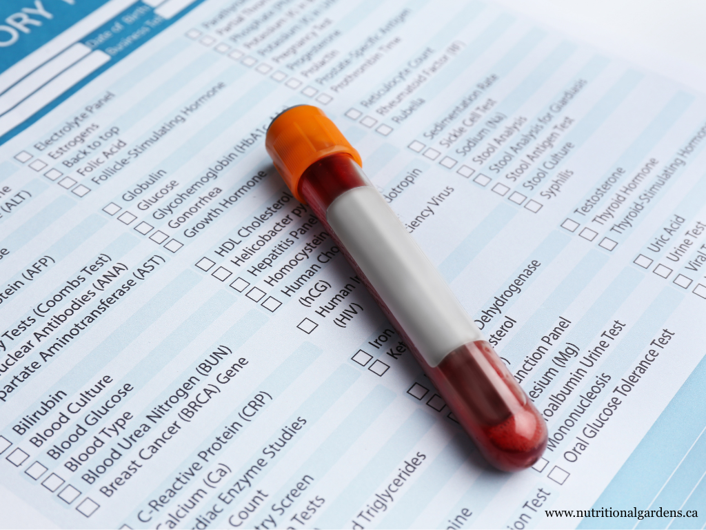 What 36 Blood Values Have to Do With Your Sugar Cravings, Belly Fat, and Exhaustion