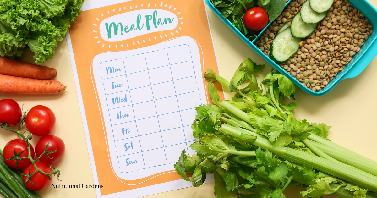 Why the Meal Plan Is Not the Program (And What Actually Gets You to the Finish Line)