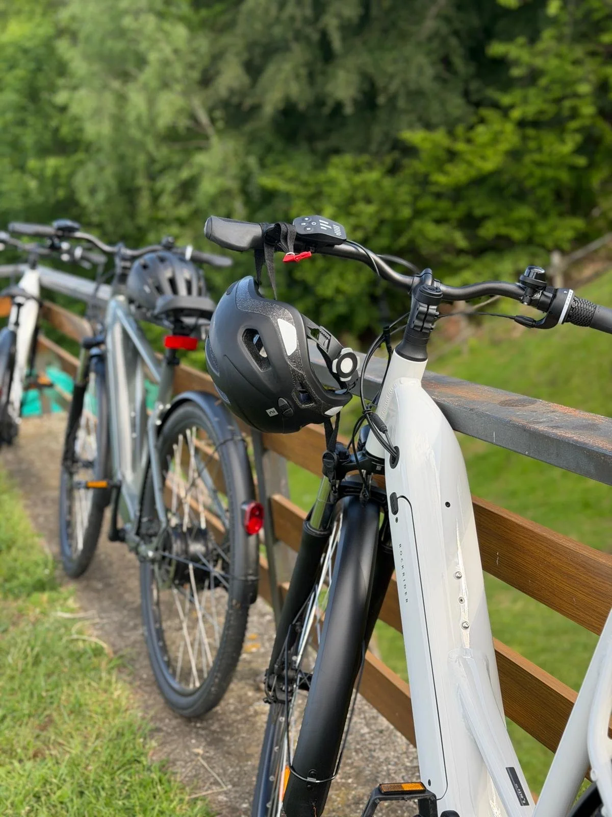 Bici elettrica collaborativa con casco appeso, su una pista ciclabile con sfondo boscoso.