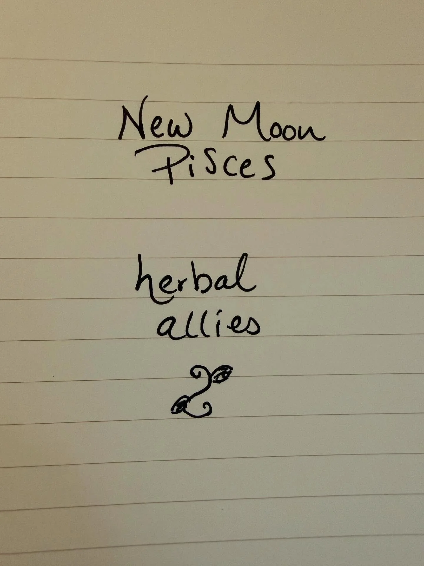 The plants help deepen our human experience by brining us to sentient states that harmonize with their own consciousness. 

Mugwort is considered a highly mystical plant, and therefore a plant under the dominion of Pisces, our mystical healer. 

On t