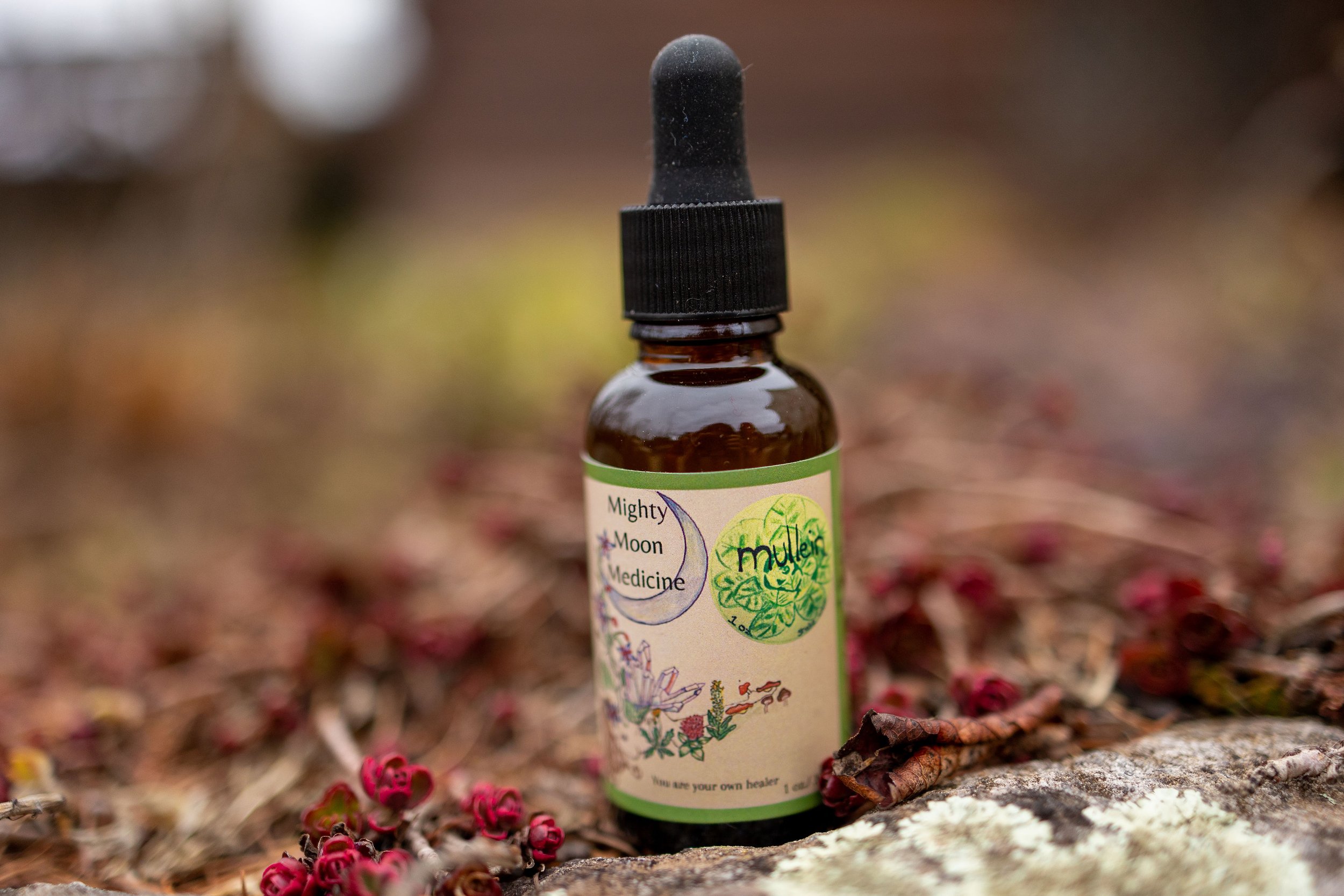 Lung & Respiratory. Mullein 2 oz.