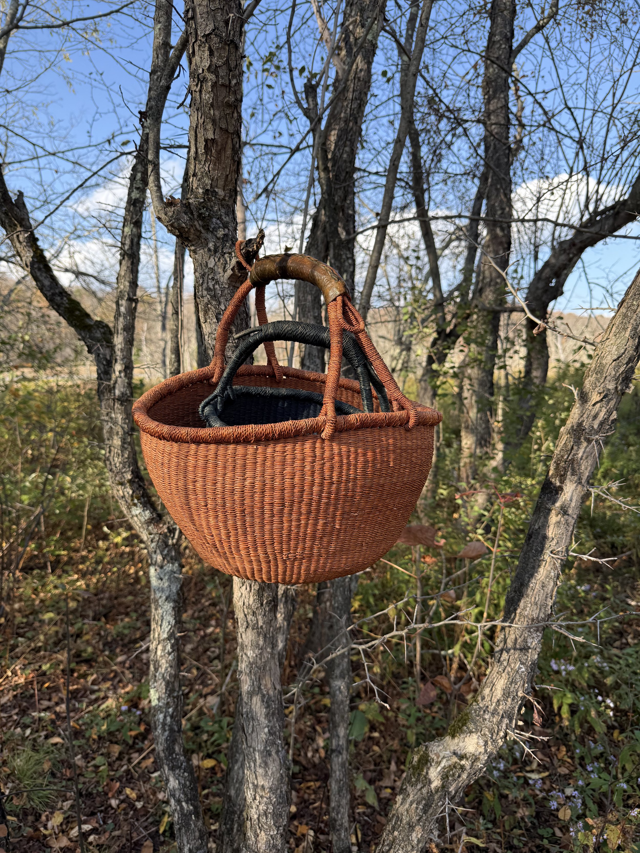Two woven baskets hanging from a tree branch in a wooded area with a blue sky and sparse clouds.