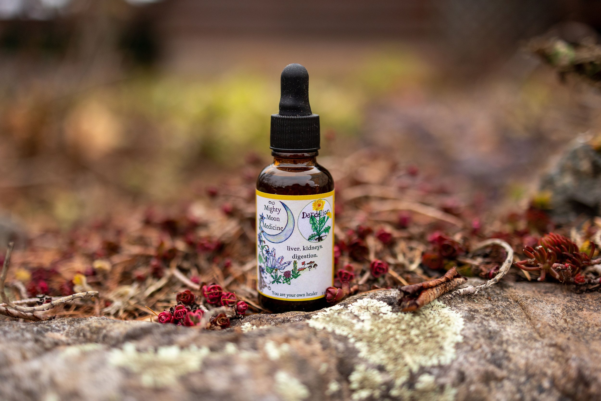 Liver & Kidney. Dandelion tincture 2 oz.