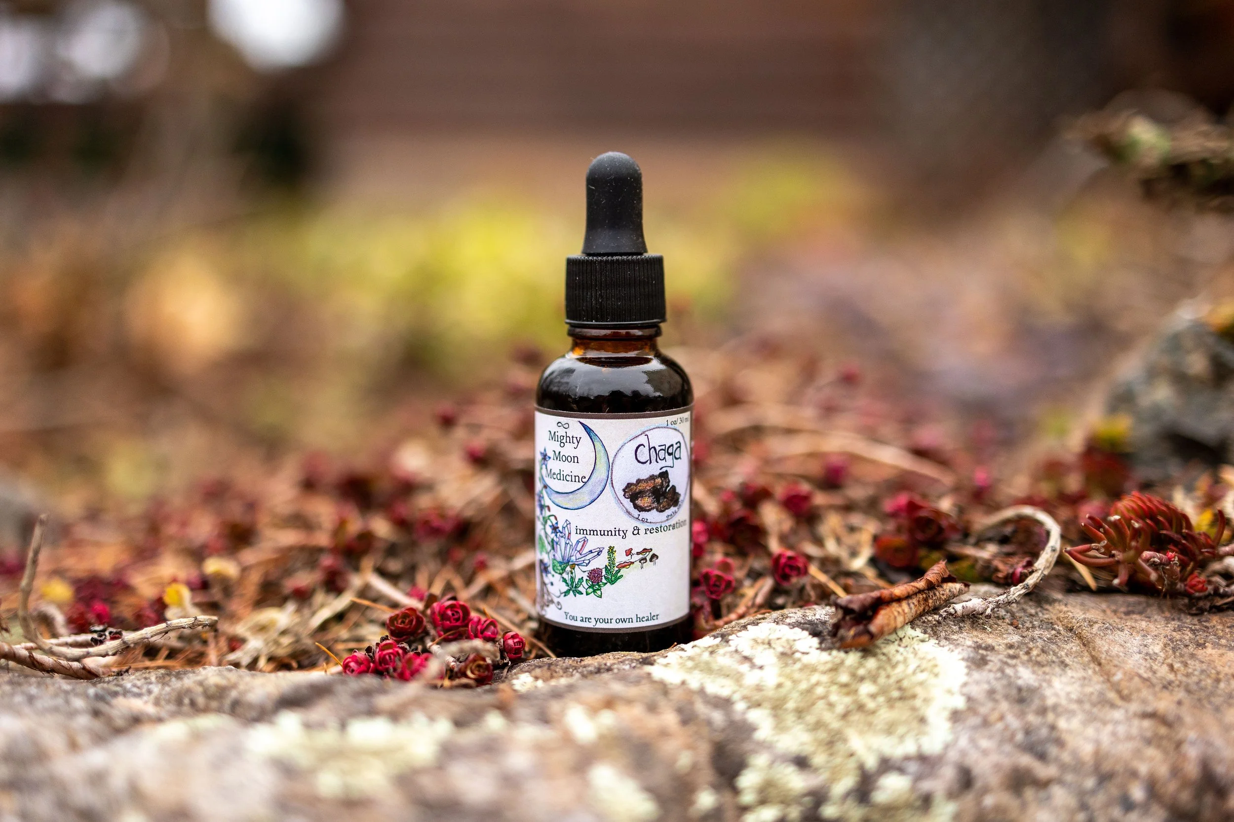 Antioxidants & Immunity. Chaga tincture 2oz.