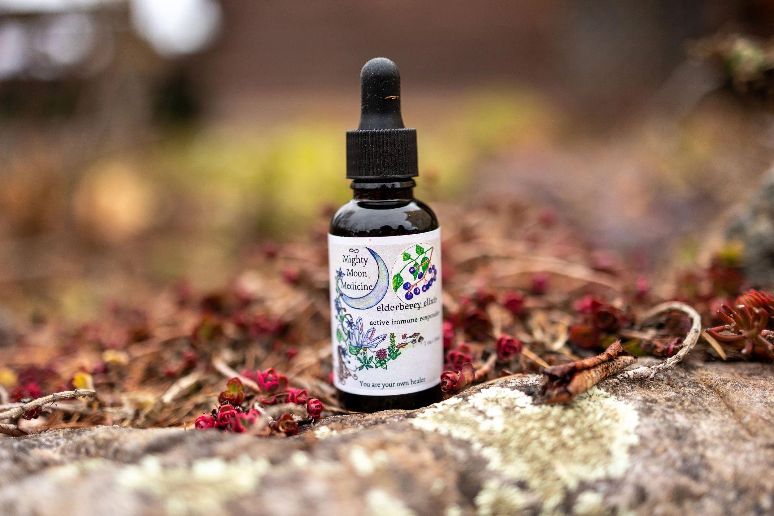 Immune protection. Elderberry elixir 2 oz.