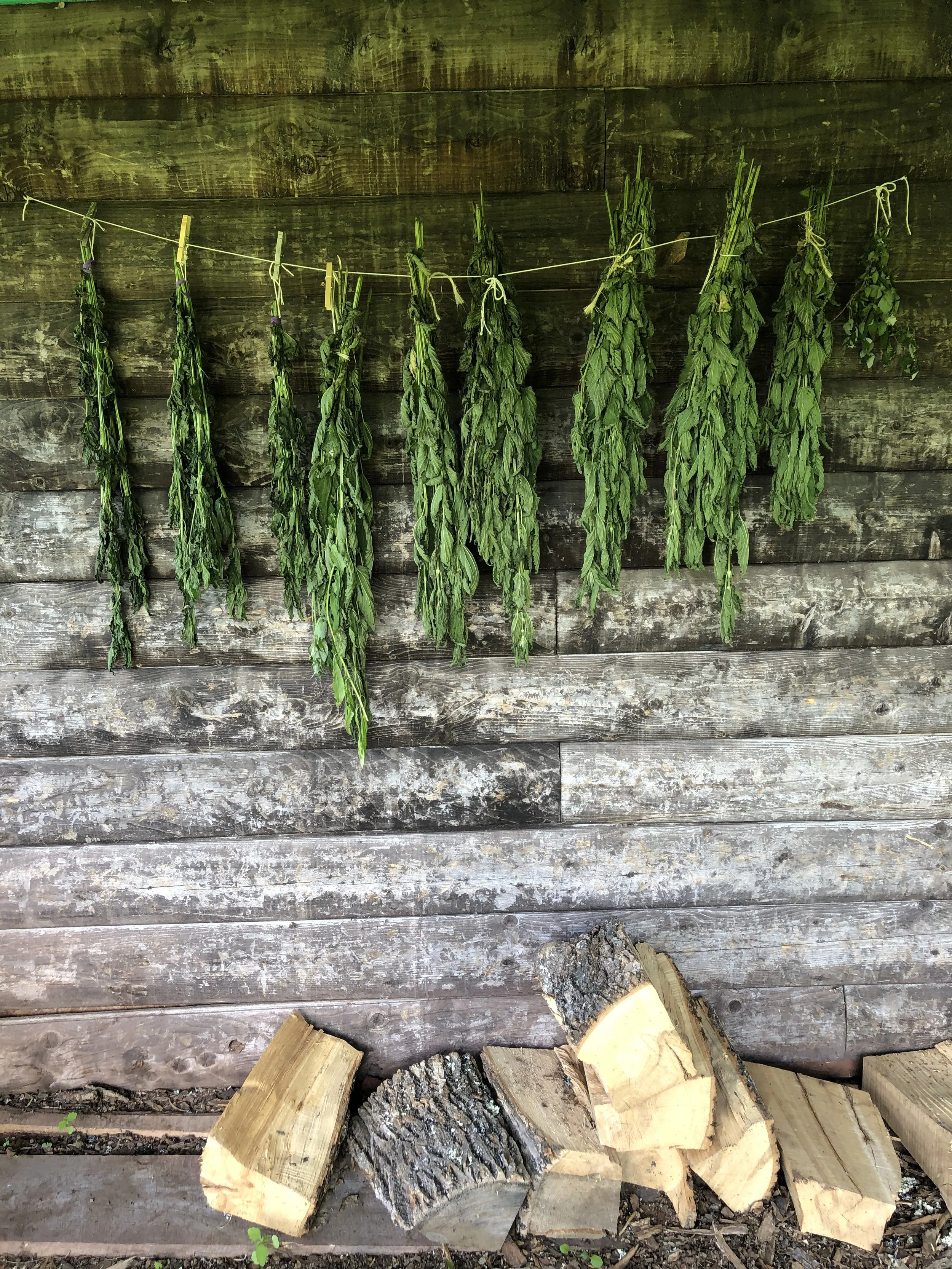 Dried herbs hanging on a string against a weathered wooden wall with chopped firewood at the bottom.