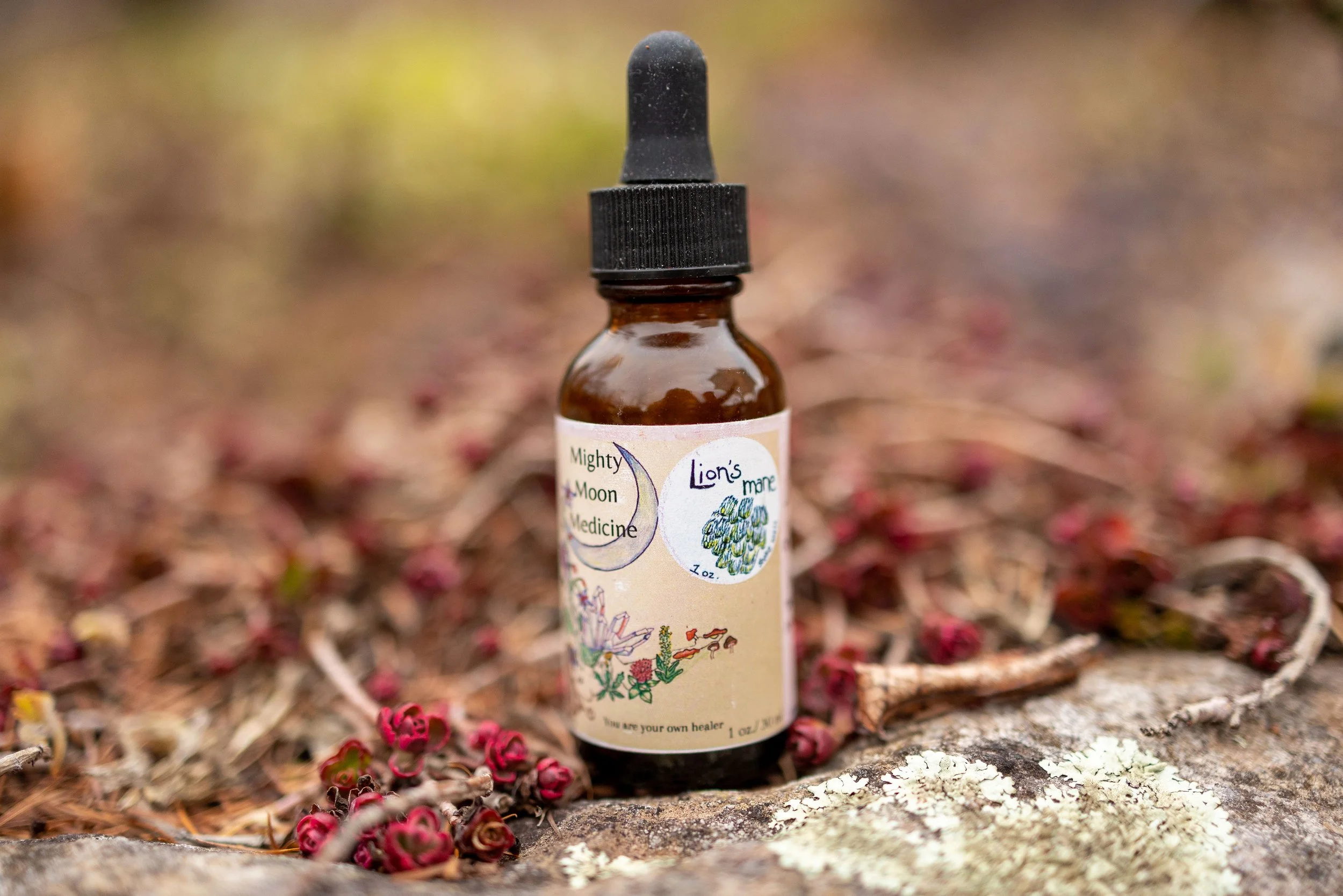 Brain Power. Lions Mane tincture 2oz.