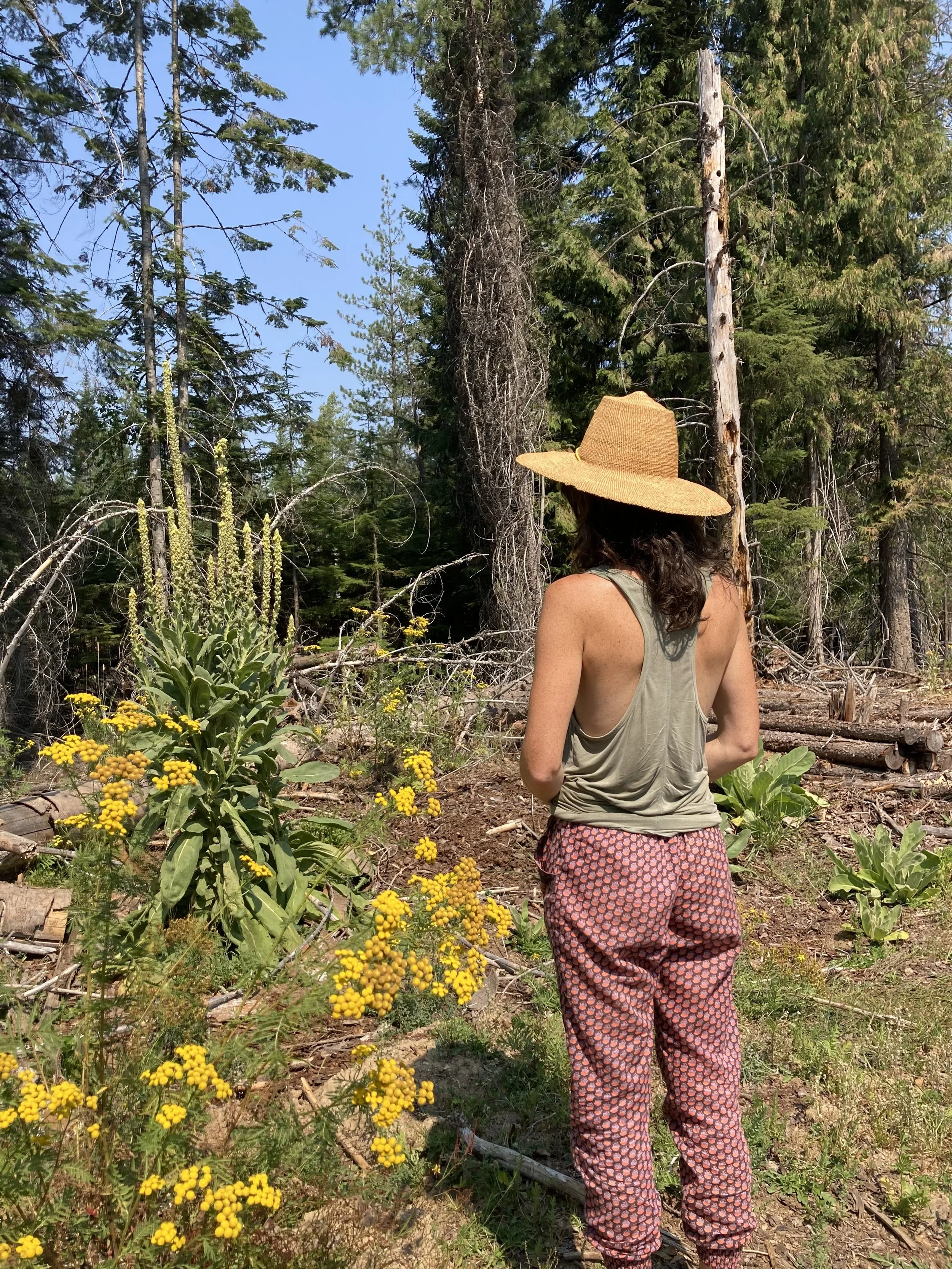 A woman wearing a wide-brimmed sunhat, tank top, and patterned pants standing in a forest next to yellow flowering plants.