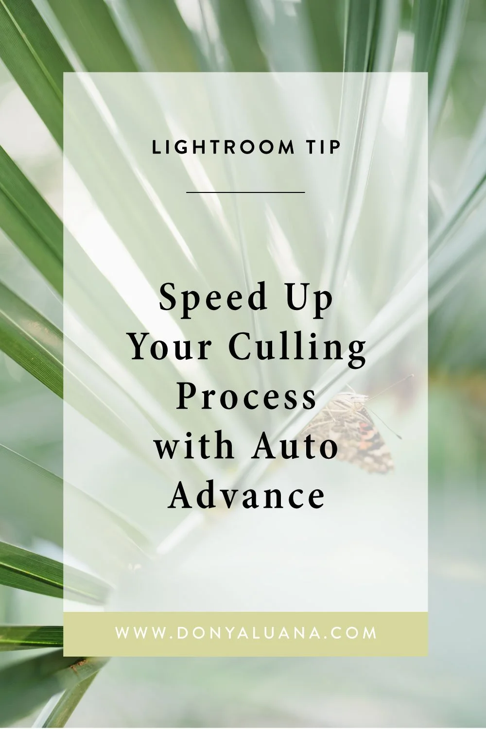 Auto Advancing in Your Lightroom Culling Process — Donya Luana