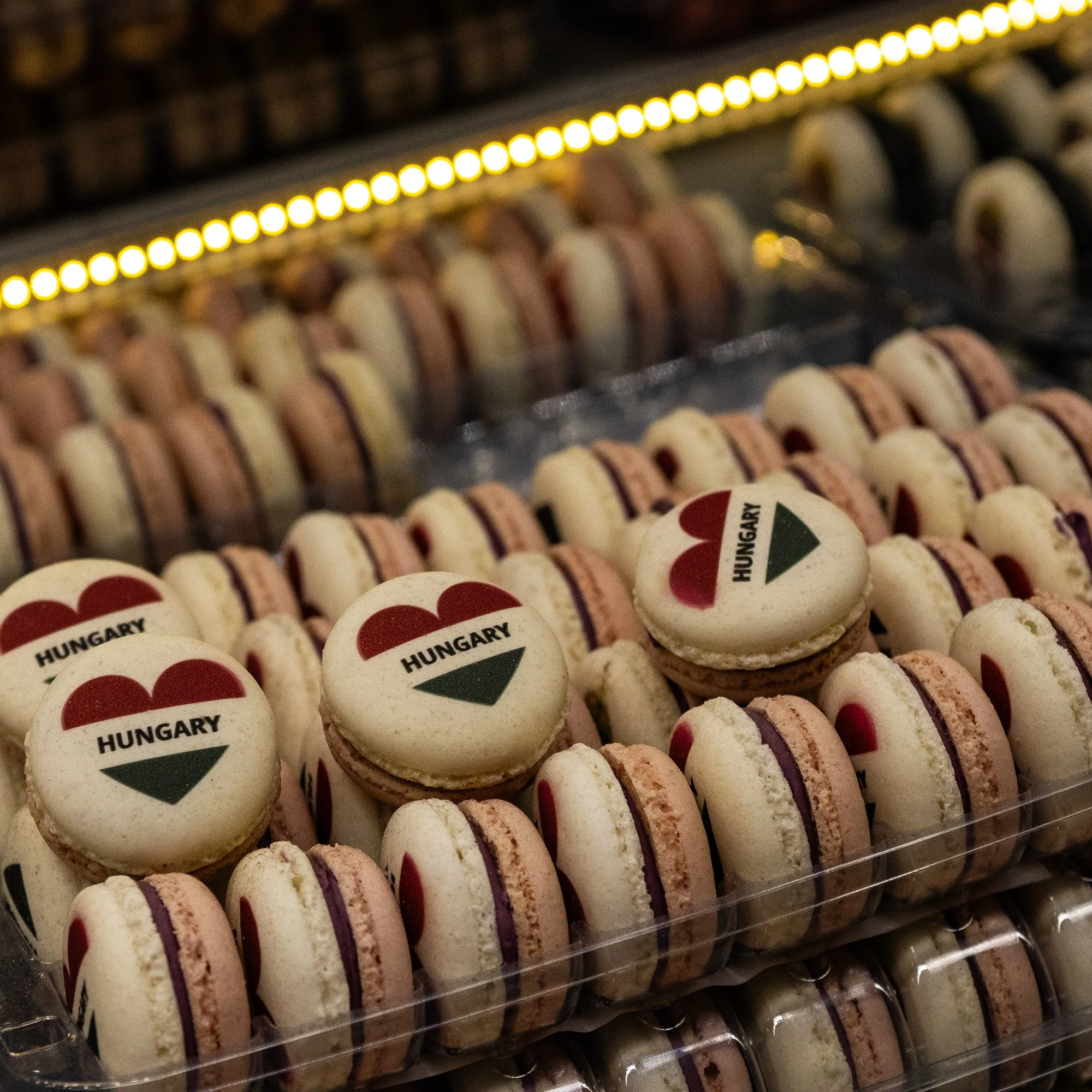 Job 2 Budapest XMAS-100-5.jpg