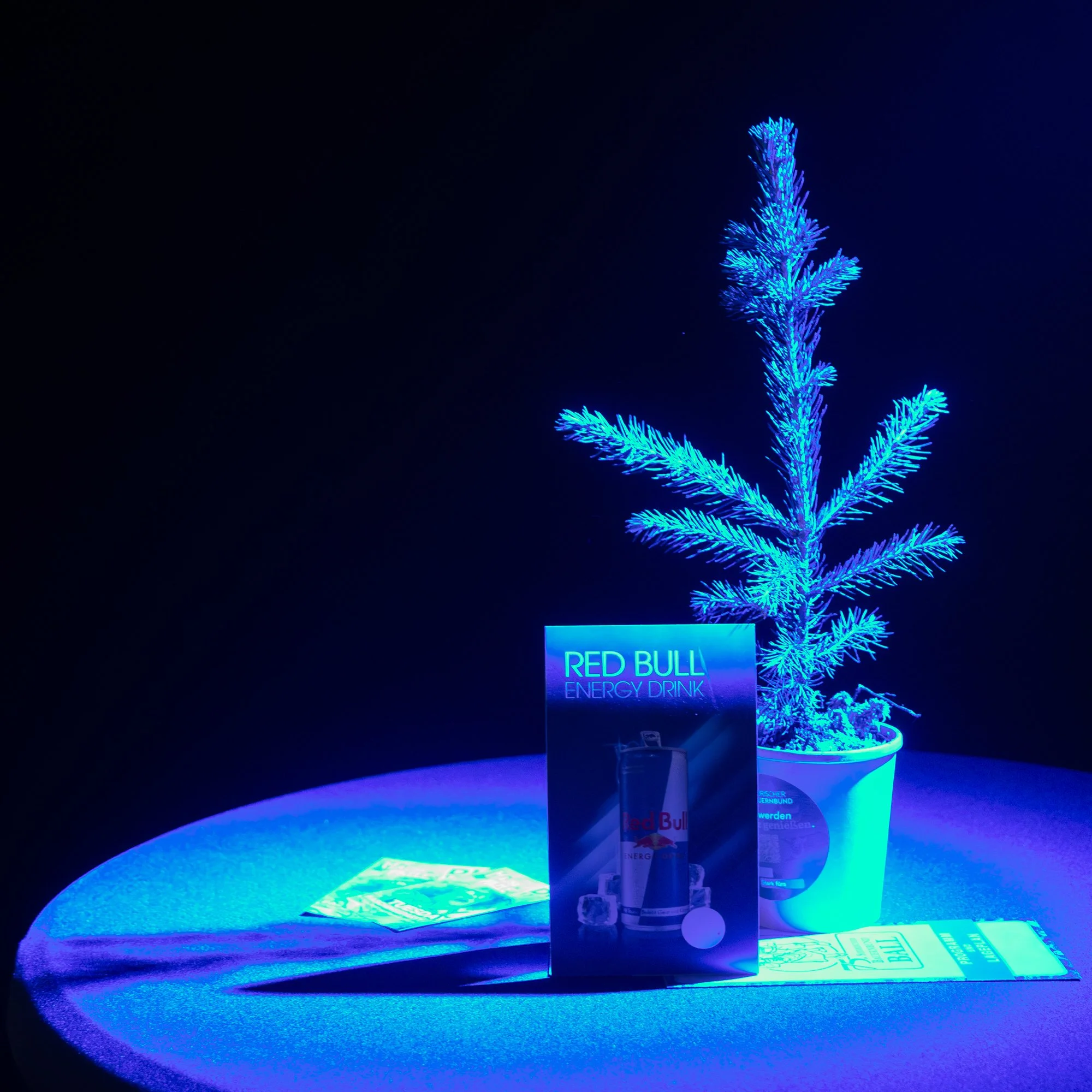 BBB 2026 Steirieischer Bauenbund Ball in Graz-165.jpg