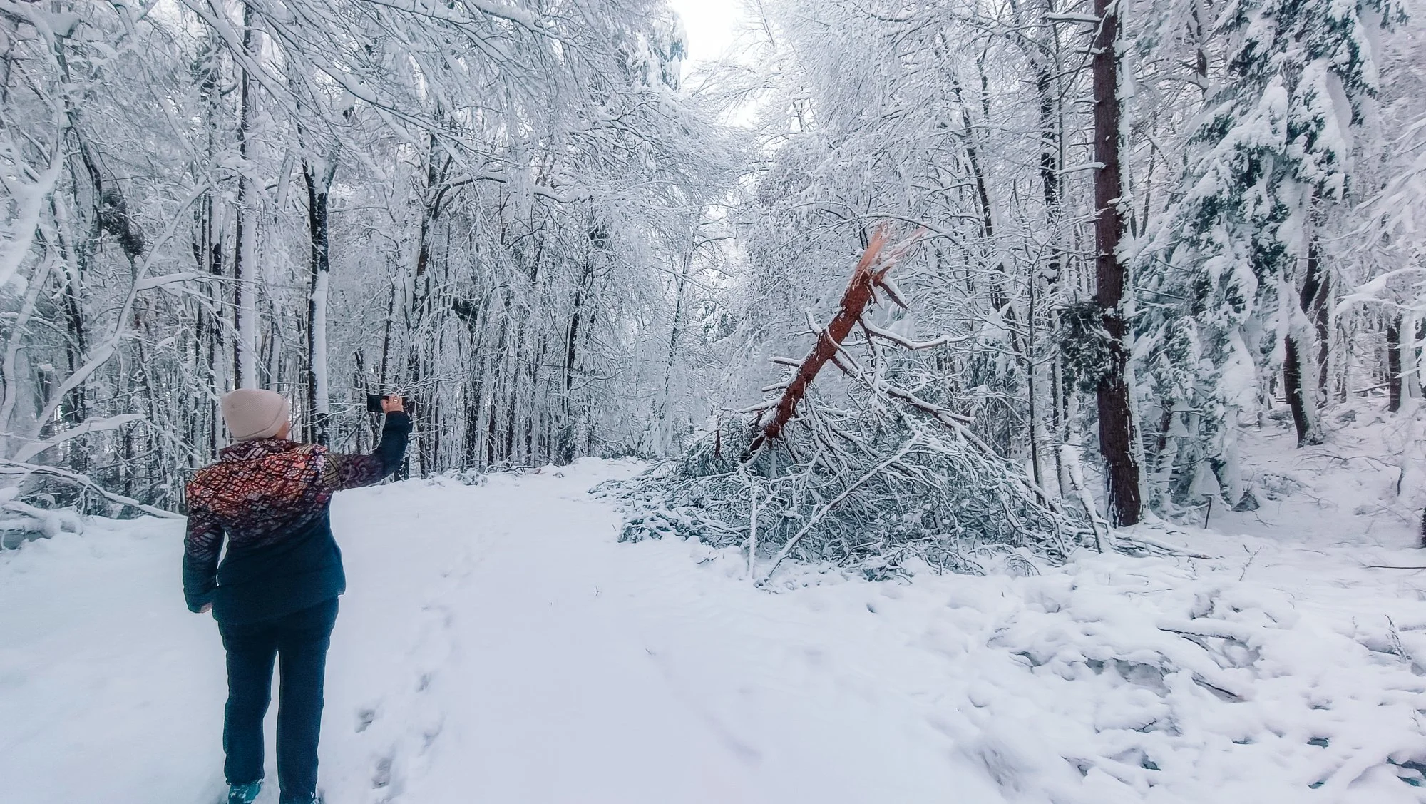 Schneebruch Feldbach 2026 AT Alert-1003.jpg