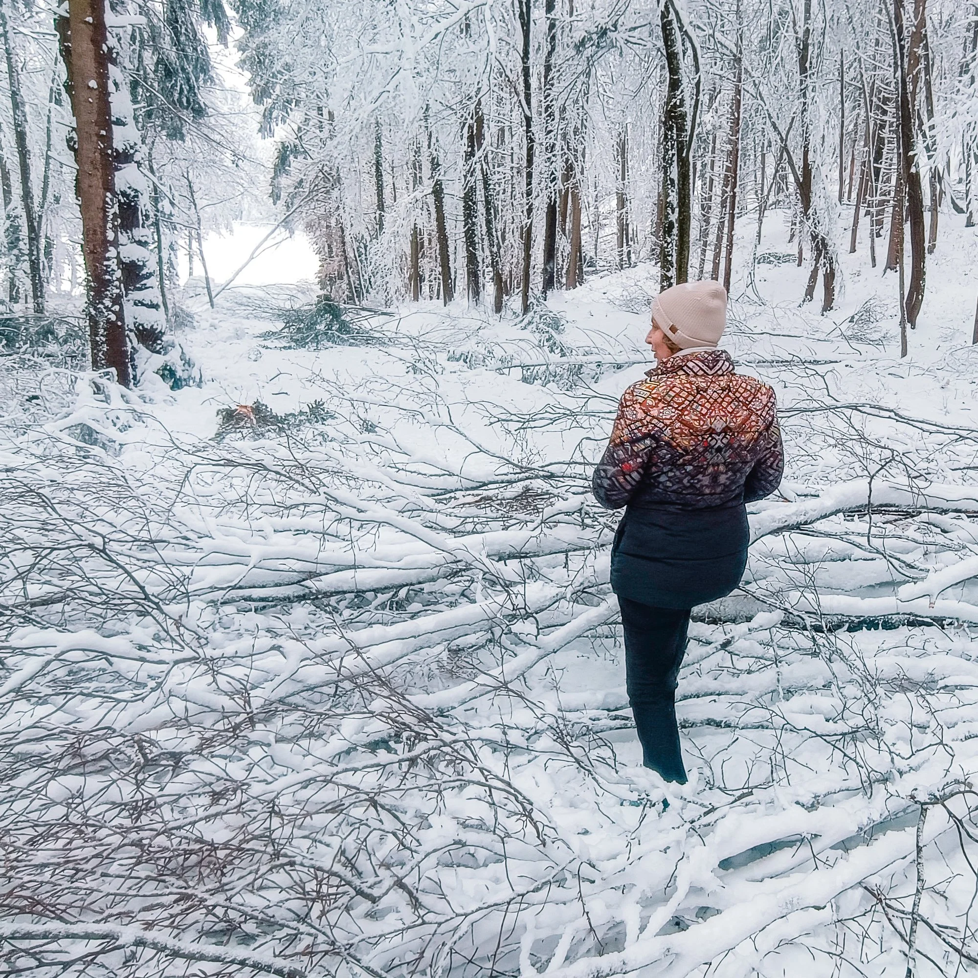 Schneebruch Feldbach 2026 AT Alert-1010.jpg
