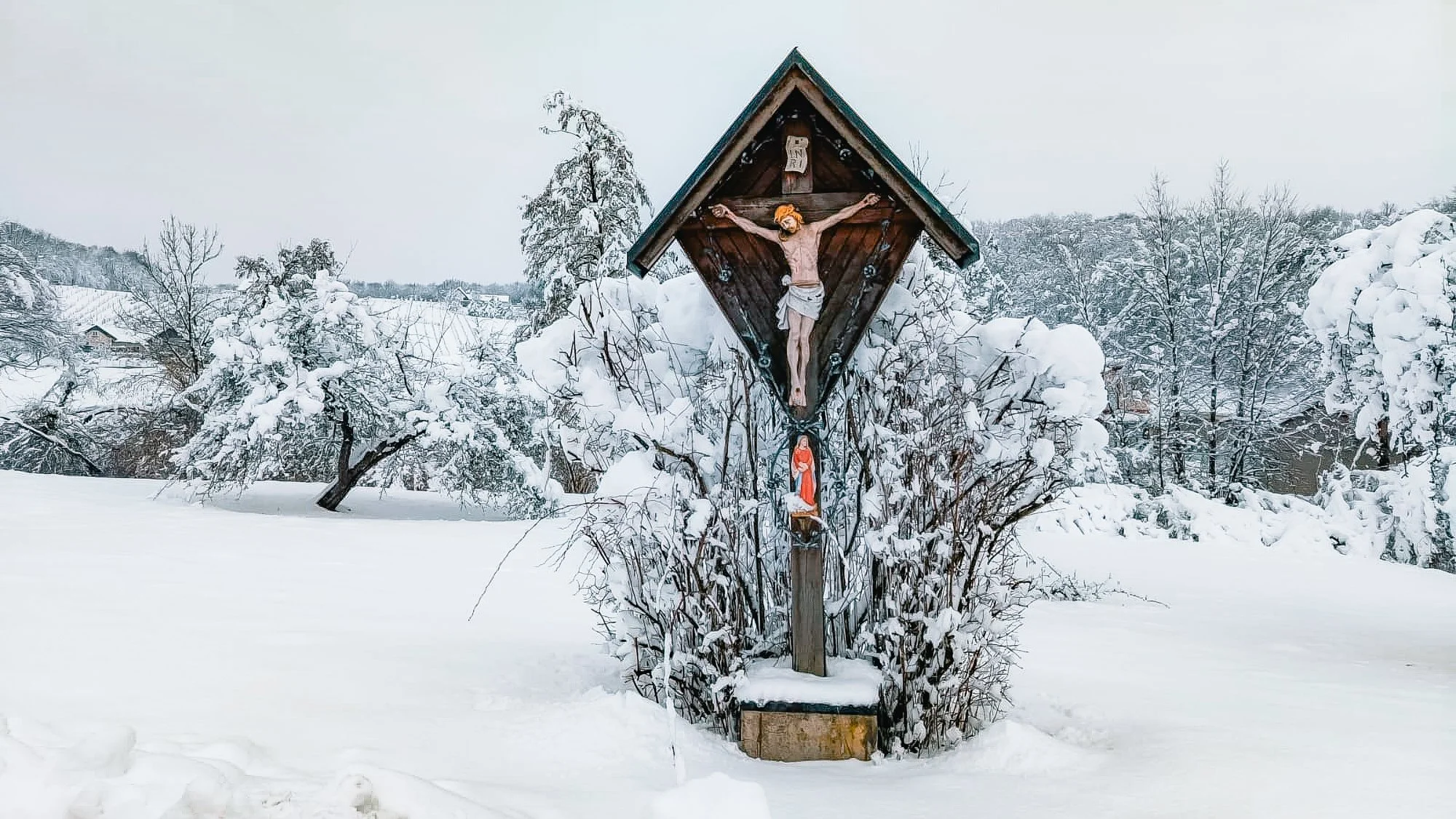 Schneebruch Feldbach 2026 AT Alert-1011.jpg