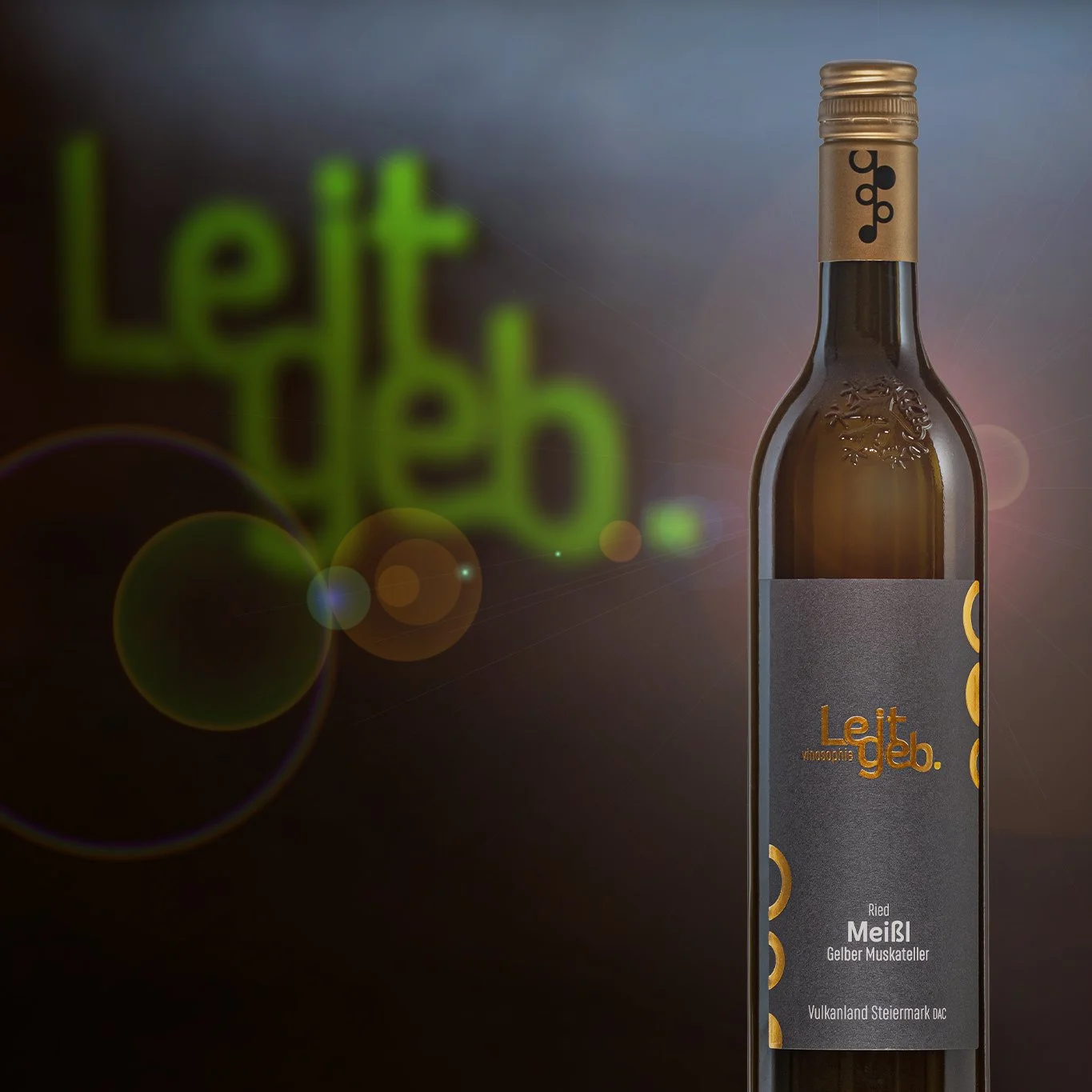 LEITGEB SAMPLER 2 PopArt-Wiederhergestellt.jpg